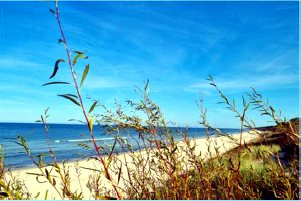 Ostsee in ca. 3 km