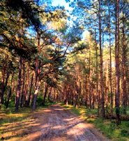 Wandern & Radfahren